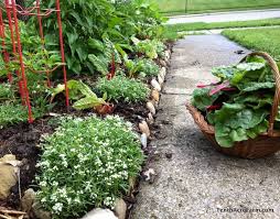 The basics of planting and growing a vegetable garden. 6 Flowers To Grow In The Vegetable Garden Tenth Acre Farm