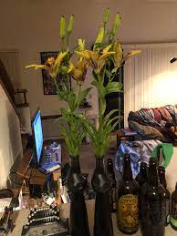 An orchid is highly coveted flower, let your date know that's how you feel about her as well when you give her one. Girl Brought Me These Flowers On Our First Date This Weekend Actuallesbians