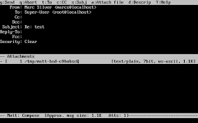 Atentie insa, utilitarul nu va putea recupera userul si parola de pe un sistem de operare proaspat instalat. Manuale Di Freebsd