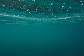 University of north carolina at chapel hill. Water North Carolina What To Know What To Do By Connor Kippe Medium