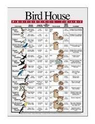 Image Result For Birdhouse Hole Sizes Uk Cardinal Bird