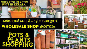 Wholesale horticultural pots & planters. Pots And Plants Shopping Wholesale Pots Shopping Kerala Cheapest Plastic Pots Nurseryvisitmalayalam Youtube
