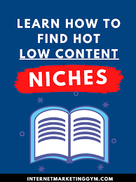 How To Find Profitable Kdp Low Content Book Niches In 2020 In 2020 Ebook Writing Writing A Book Book Marketing