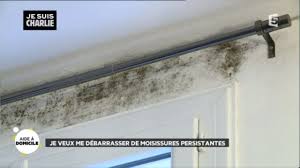 Comment lutter contre moisissure murs. Fr Probleme De Moisissures Persistantes Youtube