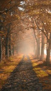 Greenland Mountains Waterfall Rivers Iphone Wallpaper Iphone Wallpapers Background Hd Wallpaper Background Pictures Country Backgrounds