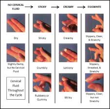 If the discharge has a smell like rotten eggs and is kind of frothy. Cervical Mucus Throughout The Cycle Glow Community