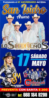 Cardenales de sinaloa