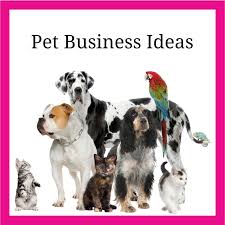 Pet Business Ideas to Start Today