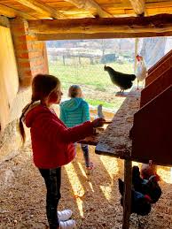 Ya que es la máxima atración que tengo.he vivido toda mi vida en el campo, y sigo. Casa Rural Con Granja No Agroturismo El Capriolo Agroturismo El Capriolo