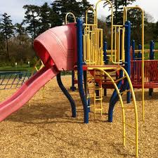 Check spelling or type a new query. Photos At Banfield Park Victoria West 58 Visitors