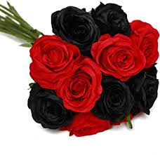 A fiery red annual, celosia is fitting for the fall season. Amazon Com Red Black Flowers