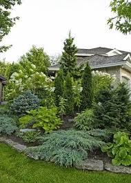 Beautiful Display Of Landscaping With Evergreens Evergreen Landscape Small Front Yard Landscaping Fence Landscaping