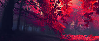 This collection presents the theme of anime wallpaper for phone. 13 Wallpaper Red Anime Orochi Wallpaper