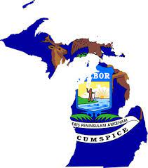 August 1 1792 First Democratic Election Was Held In Michigan Michigan Michigan Flag Michigan Girl