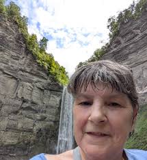 Zinnias growing through rock and weed barrier unexpectedly