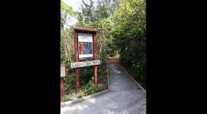 Great ideas for beach weddings in fort lauderdale. Secret Woods Nature Center South Florida Finds