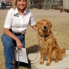 Cactus jack's auto tucson tucson, pima kontluğu, arizona. Cactus Canine Center Pet Training 2555 W Zinnia Ave Tucson Az Phone Number Services
