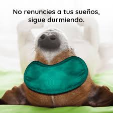 A frase que procura de amigos loucos para ler e compartilhar. Frases Chistosas Para Hacer Reir A Tus Seres Queridos Canva