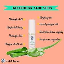 Pelembab aloe vera multifungsi yang bagus untuk kulit kering, kulitsensitif, terbaik menghilangkan jerawat di wajah dengan efek melembutkan dan menyegarkan. Aloe Vera Banyak Digunakan Untuk Kak Ana Bluebell Skincare Facebook