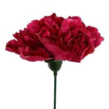 Floristik21.de Künstliche Nelke Pink 12 Stück Ø9cm