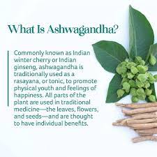 Top ashwagandha manufacturer in India