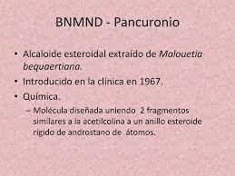 Image result for Malouetia bequaertiana