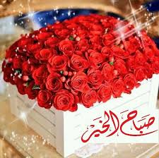 pin by ام ماريا on صباحات ومساءات good morning arabic good morning images quran quotes love