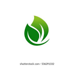 Vector logo or icon design element. Eco Leaf Logo Vector Eps Free Download