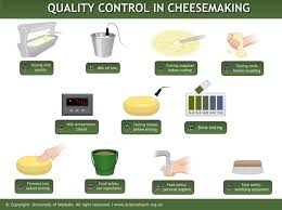 Manufacturing Gouda Cheese Science Learning Hub