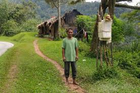 Malaysia's mysterious orang asli people have lived in the heart of the country's deep jungles for more than 60,000 years. Semai People Wikipedia