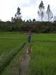 Maybe you would like to learn more about one of these? Salah Satu Cara Untuk Memvisualkan Proses Berpikir Adalah Dengan Menggunakan Select One A Peta Brainly Co Id