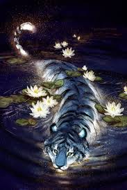 Star Maker Yuumei On Patreon Mythical Creatures Art Animal Art Animal Drawings