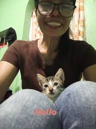 Simon's Cat Chat (Official Simon's Cat Group)