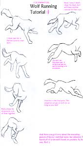 Wolf Run Tutorial By Wolfsrainluv22 On Deviantart Drawing Tutorial Art Tutorials Wolf Drawing