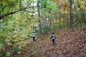 In mountainside, nj, along the lake surprise trail; The 8 Best Reasons To Visit Watchung Reservation Best Of Nj