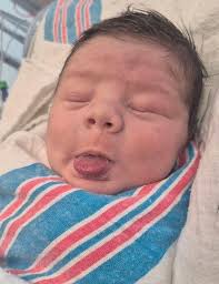 Obituary information for Wilder Daniel Groover