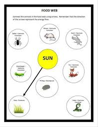 Food Web Food Chain Combo Worksheet Food Web Innovative Teacher Food Web Worksheet