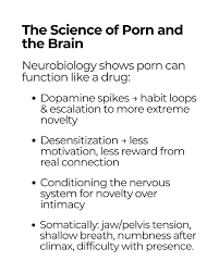 It might be a controversial perspective but I truly believe that much of  our compulsive relationship with porn isnt about sex at all. Its about  unprocessed anger and rage towards our mother