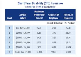 Benefits Employee Disability Insurance Short Term And