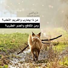 هذي المعارك لست أحسن خوضها من ذا يحارب والغريم الثعلب ومن المناضل والسلاح دسيسة ومن المكافح والعدو العقرب تأبى الرجولة أ instagram posts life movie posters
