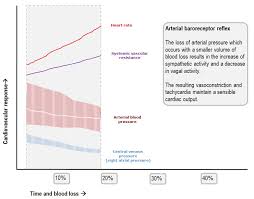 Response To Haemorrhage The Loss Of 1l Of Blood Deranged