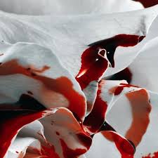 Check spelling or type a new query. Comment Enlever Les Taches De Sang Sechees Sur Un Vetement