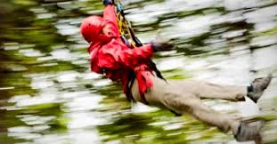 First, you'll need to find a suitable location for your zip line. Alaska Zipline Tours Alaska Org