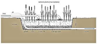 Native plants and trees, wetland seed mixes, and; Vertical Flow Constructed Wetland Sswm Find Tools For Sustainable Sanitation And Water Management