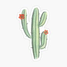 Cute Tropical Cactus Plant With Pretty Flowers Poster By Jtcprintsuk Redbubble For desert scenes or just for fun, it's easy for anybody to draw a cactus! cute tropical cactus plant with pretty flowers poster by jtcprintsuk redbubble