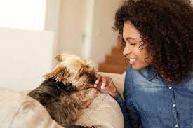 How much does a pet sitter cost? How Much Does Pet Sitting Cost In 2018