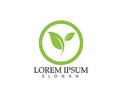 Cari dan unduh gambar hd daun png gratis dengan latar belakang transparan online dari lovepik.com. Gambar Logo Alam Hijau Daun Dan Simbol Vektor Keseimbangan Bio Biologi Png Dan Vektor Dengan Latar Belakang Transparan Untuk Unduh Gratis Biologi Simbol Daun