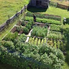 How To Go Off Grid Step By Step Farm Gardens Garden Layout Vegetable Garden Design