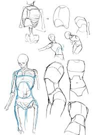 Find more cool workshops at www.facebook.com/blankspaceoslo. Torso Reference Human Figure Drawing Art Reference Drawings