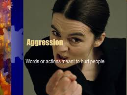 Social Behavior. Group Behavior Social facilitation